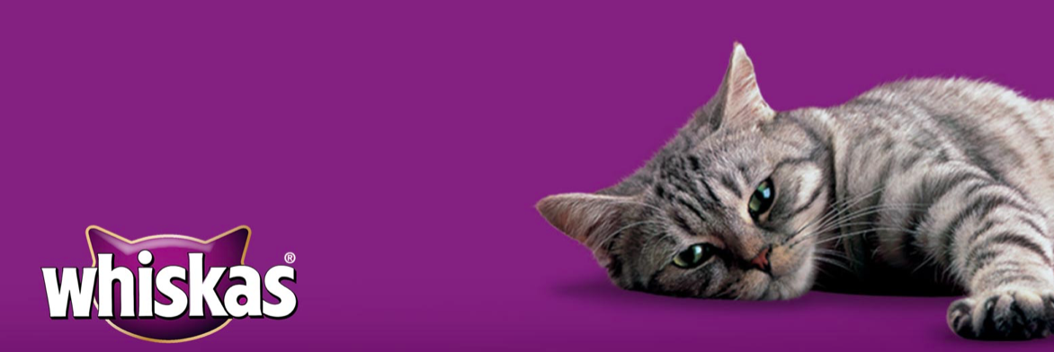 Whiskas 2009. Реклама вискас с котенком. Whiskas для котят реклама. Реклама вискаса. Музыка из рекламы вискас