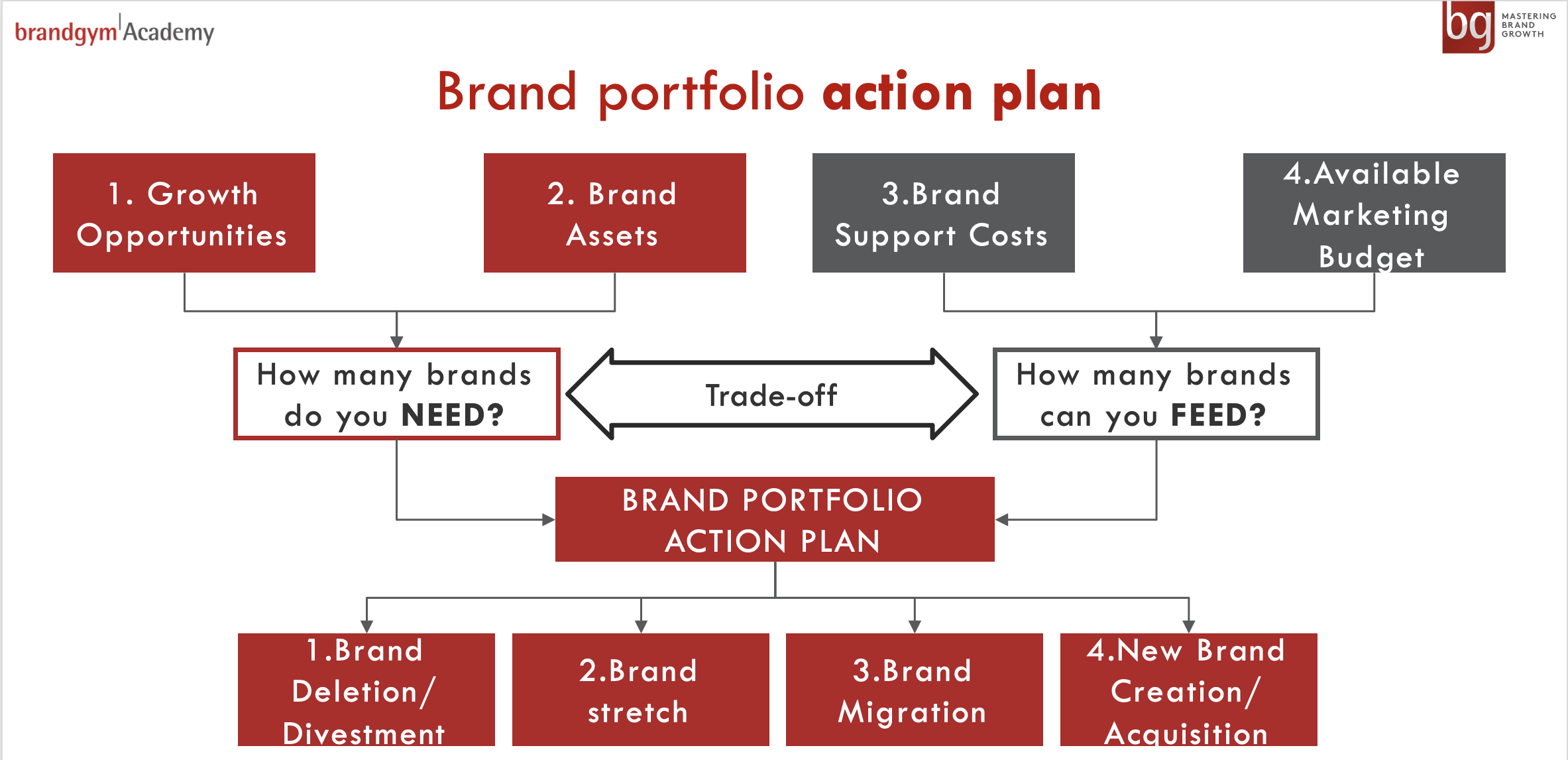 Brandgym Academy Brand Portfolio Model