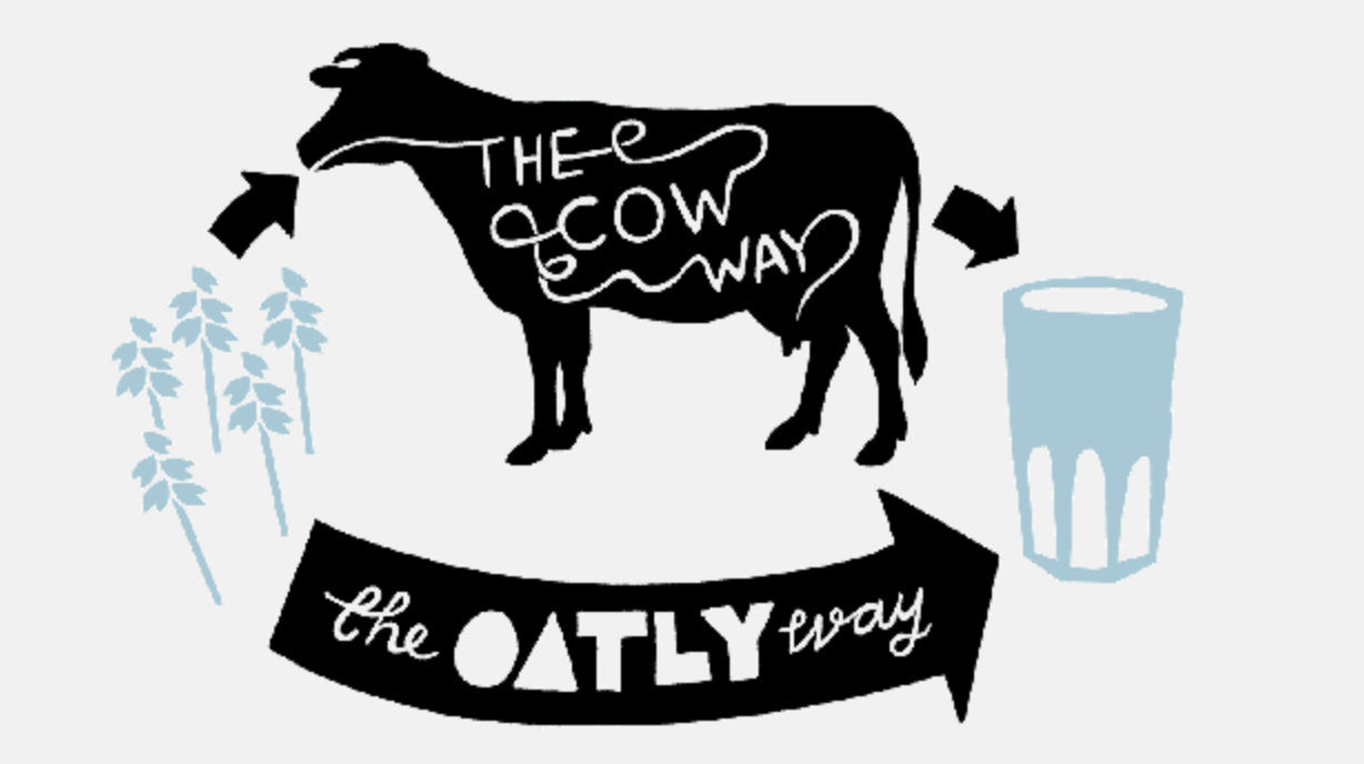 Milk’s (Least) Favorite Cereal: Oatly’s Impact On Dairy - Faunalytics